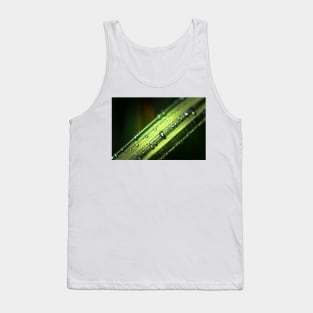 Dew drops on grass blade Tank Top